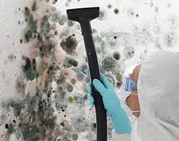 Why You Should Choose Our Mold Remediation Services in Placeholder9